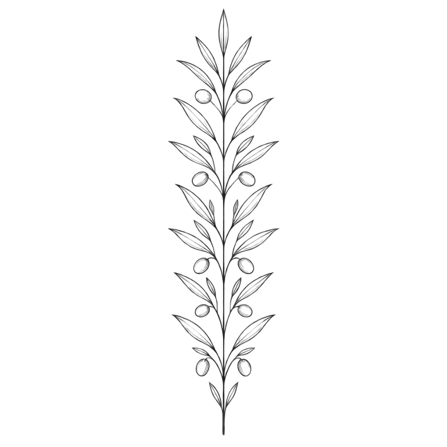 Fine line mirrored olive branch column tattoo design for the spine