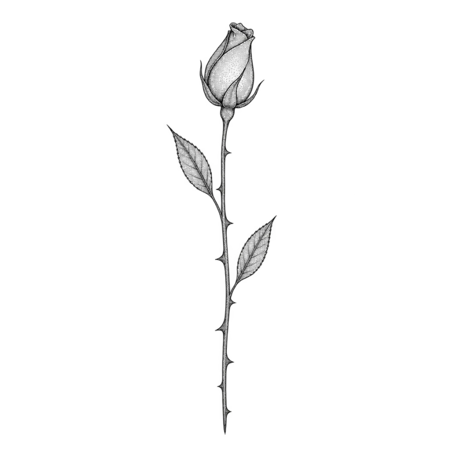 Fine line tattoo of a rose bud in profile on a thorned stem