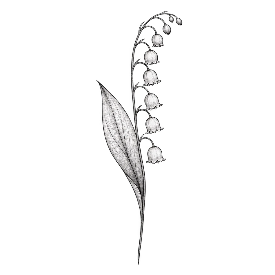 Fine line tattoo of a lily of the valley stem with nodding bell flowers