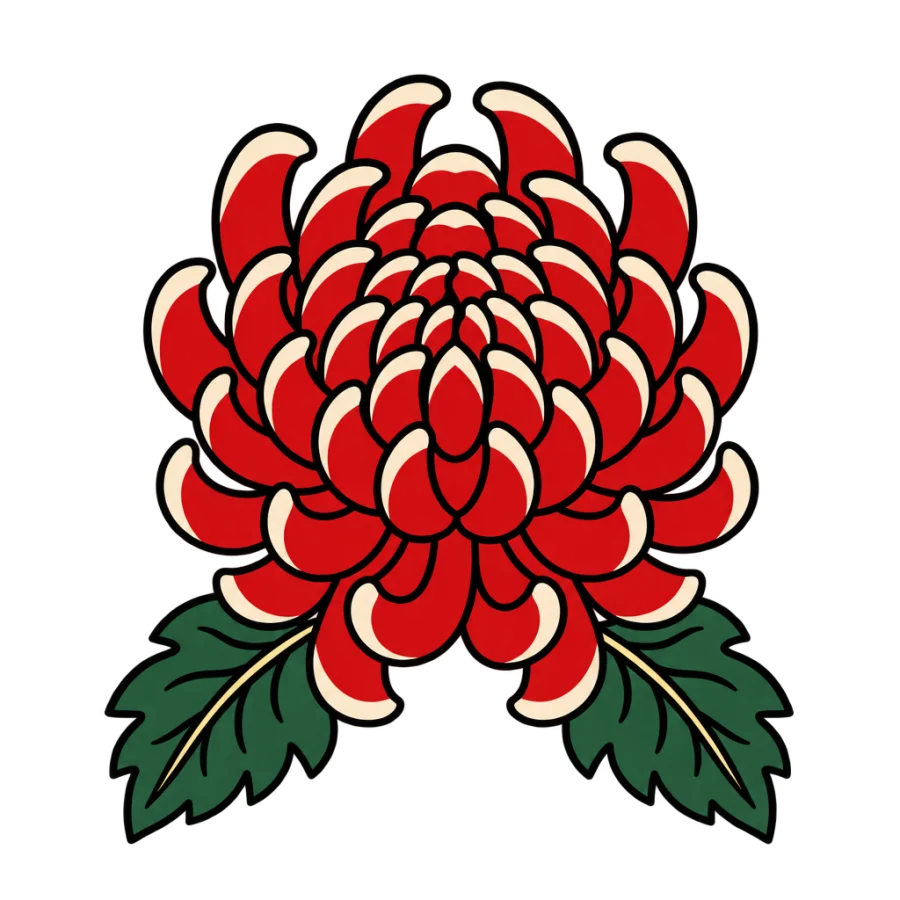 American traditional tattoo design of a chrysanthemum with bold outlines and flat color