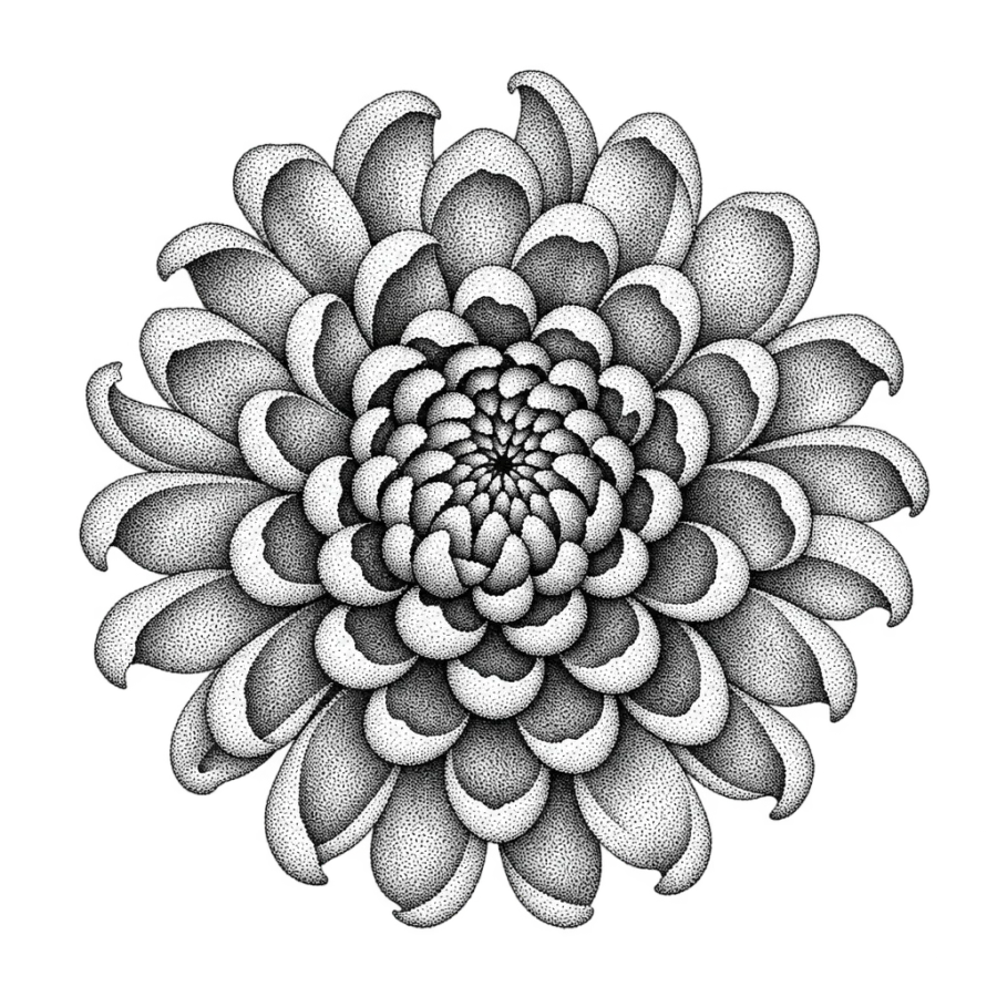 Dotwork stippled tattoo design of a chrysanthemum head seen from above