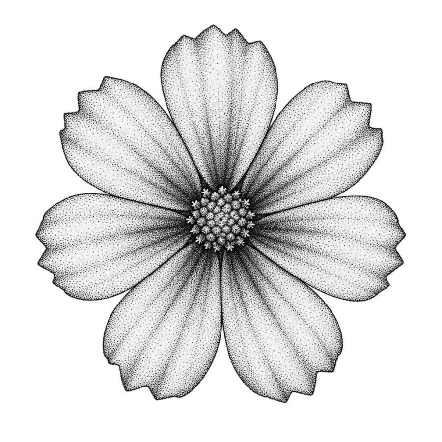 Dotwork tattoo of a cosmos flower seen straight from above