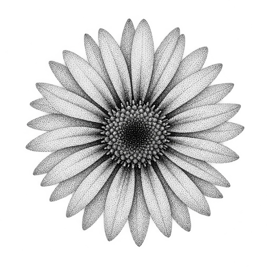 Dotwork aster tattoo design seen from above with a shadowed centre disc