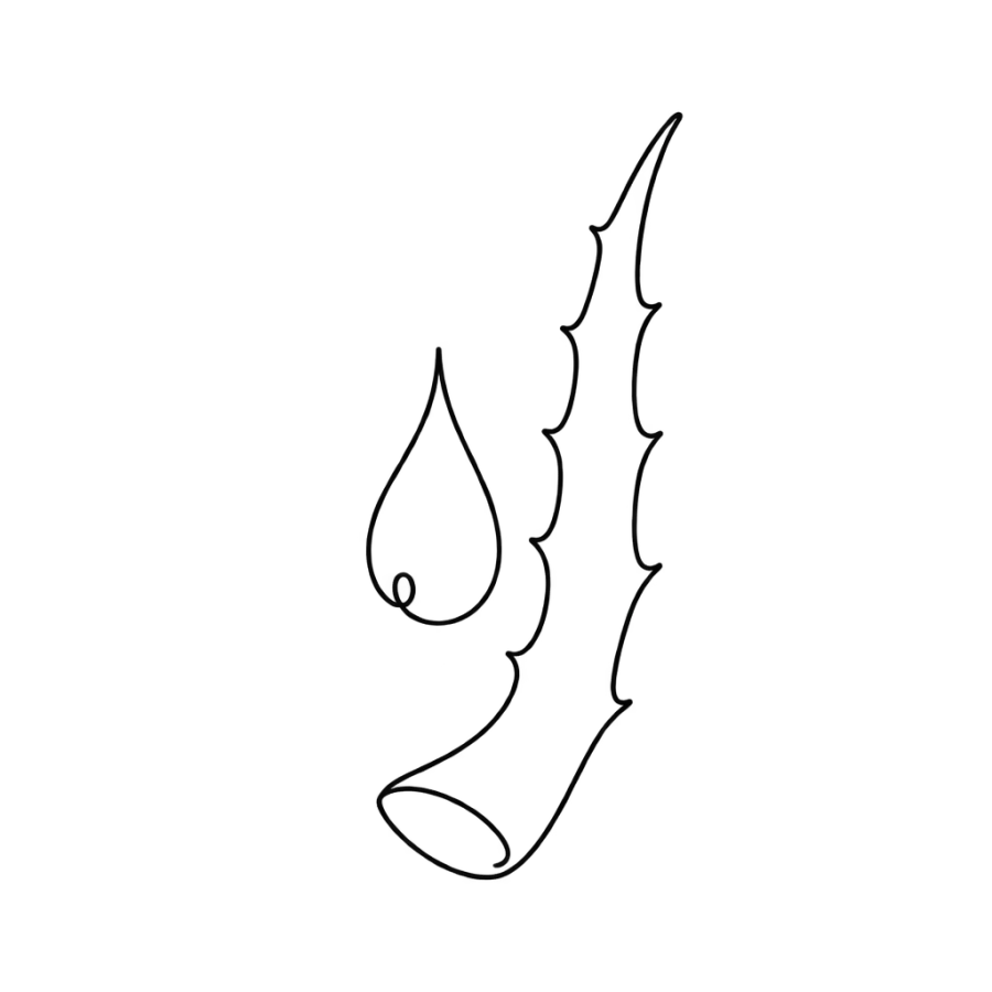 Single line tattoo design of a water droplet and an aloe vera leaf
