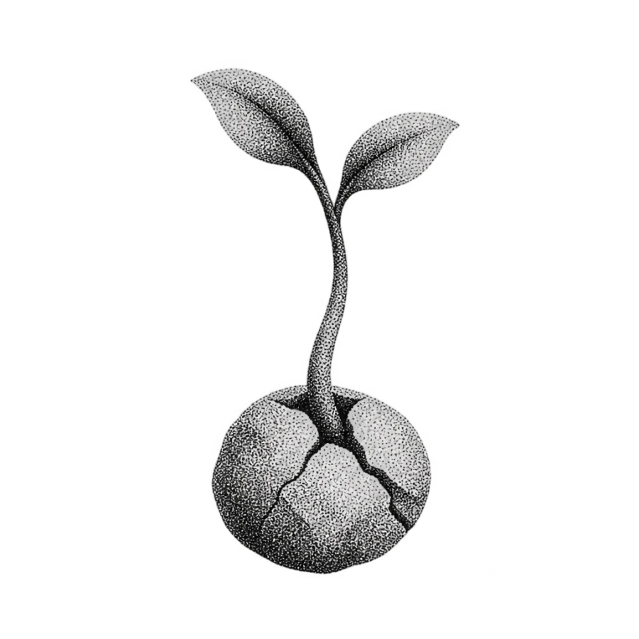 Dotwork sprout and cracked stone tattoo design about quiet faith