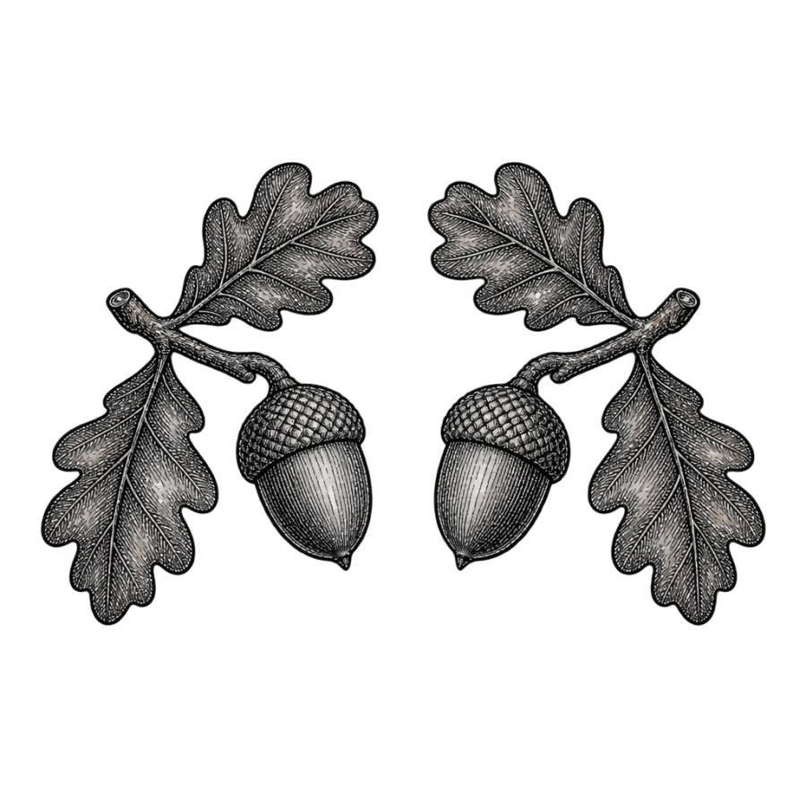 Engraved sibling tattoo design of two matching acorns on separate oak twigs