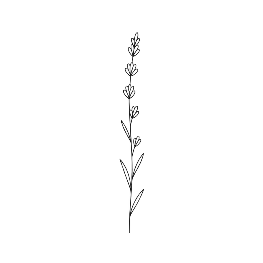 Tiny fine line lavender sprig tattoo with a slender stem and buds
