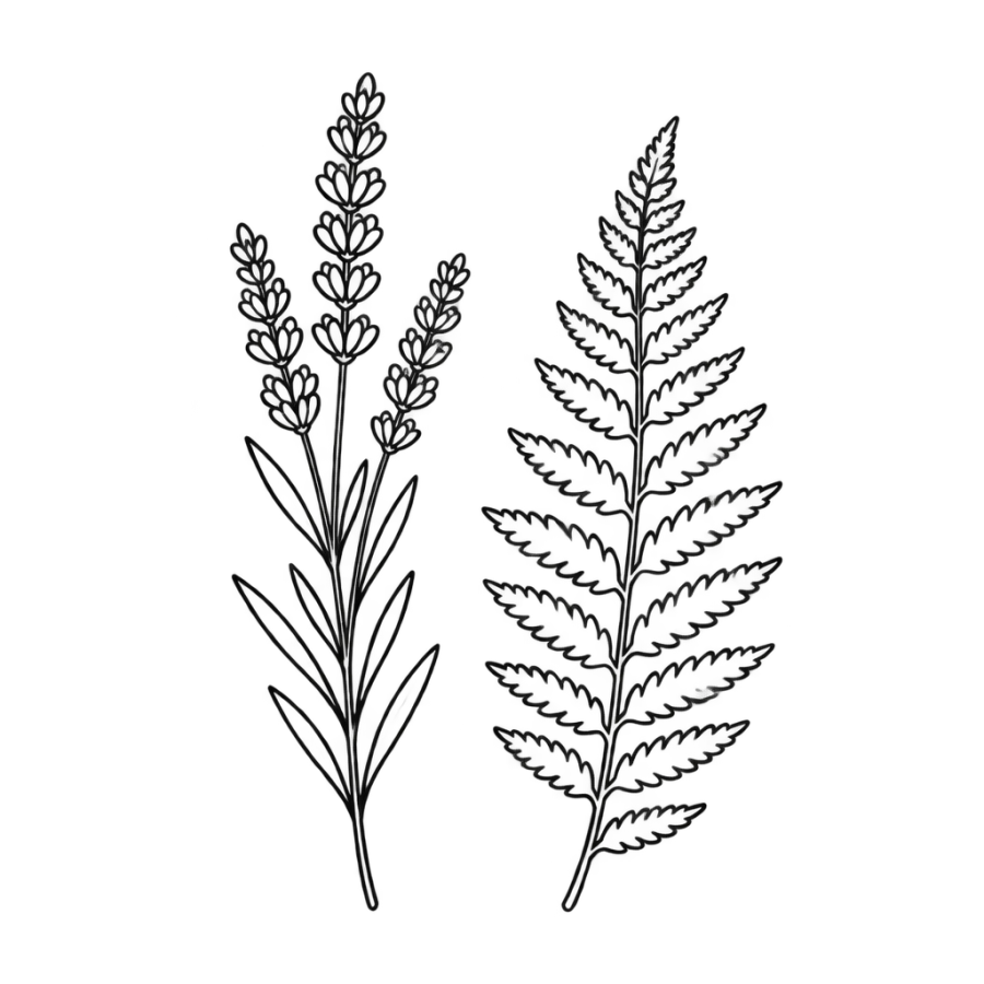 Stencil outline botanical plate tattoo design of lavender and a fern