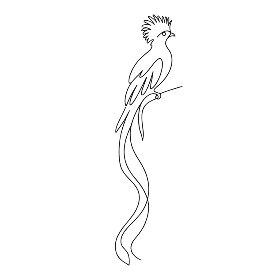 Minimalist single line quetzal bird tattoo with long trailing tail feathers