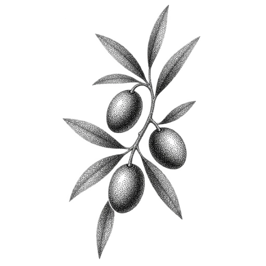 Fine dotwork olive branch tattoo built from stippled dots alone