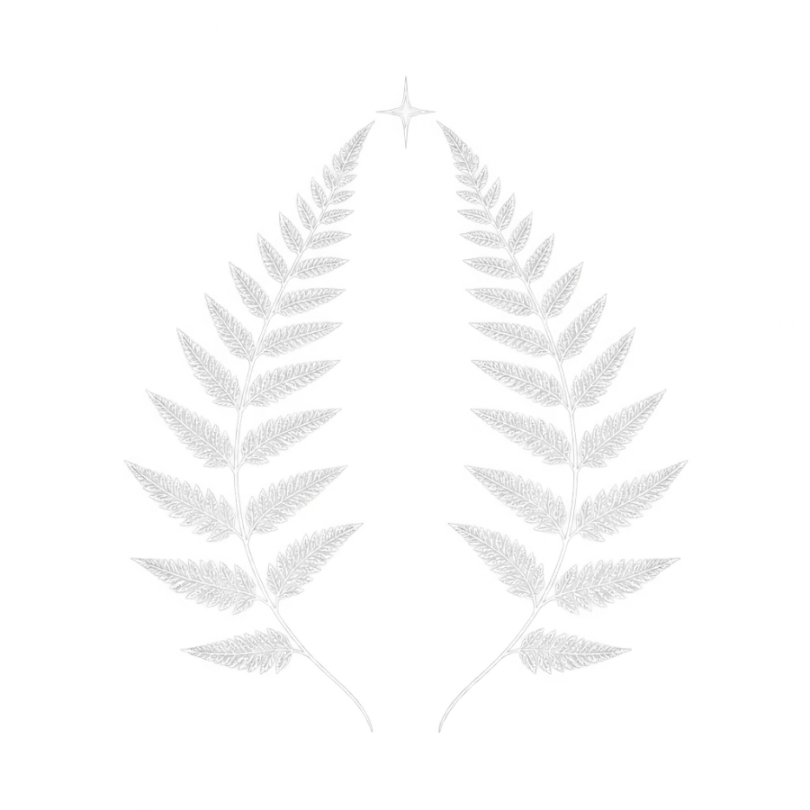 White ink tattoo design of two mirrored fern fronds meeting at a star