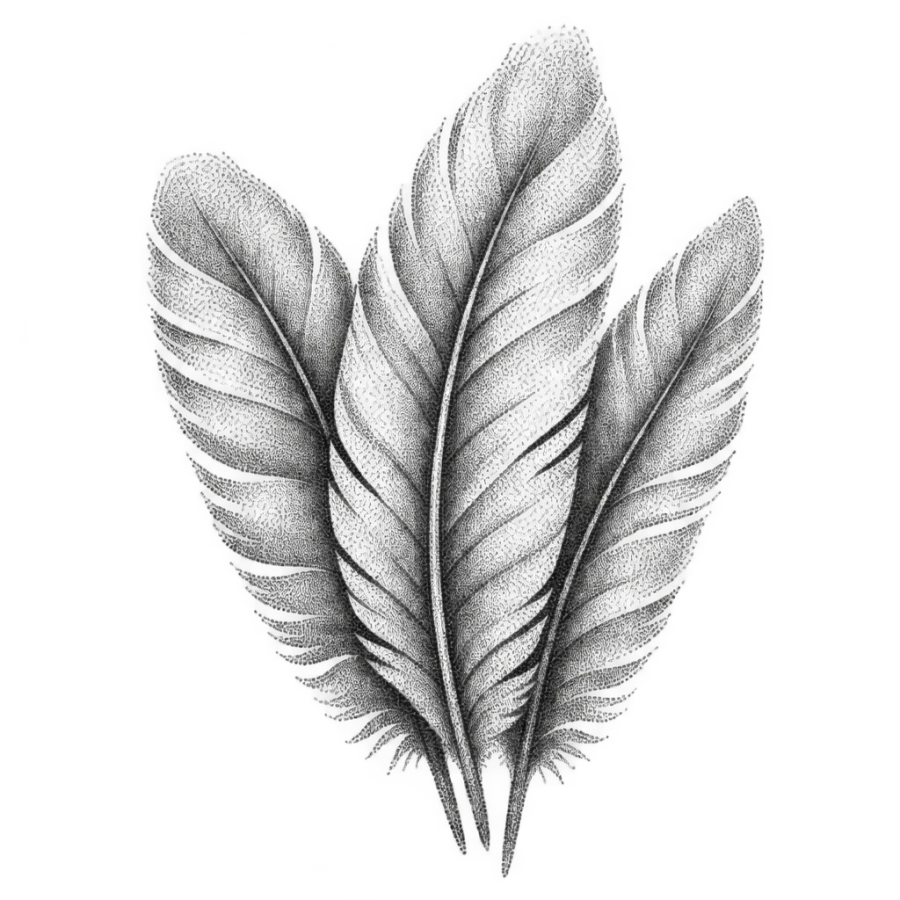 Dotwork tattoo design of three overlapping angel wing feathers in close crop