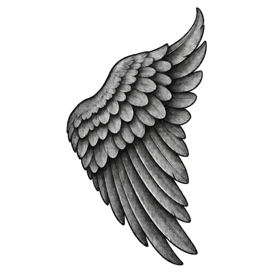 Engraved single angel wing tattoo design with layered feather hatching