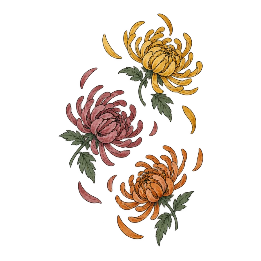 Watercolour chrysanthemum tattoo design with three blooms tumbling in loose washes