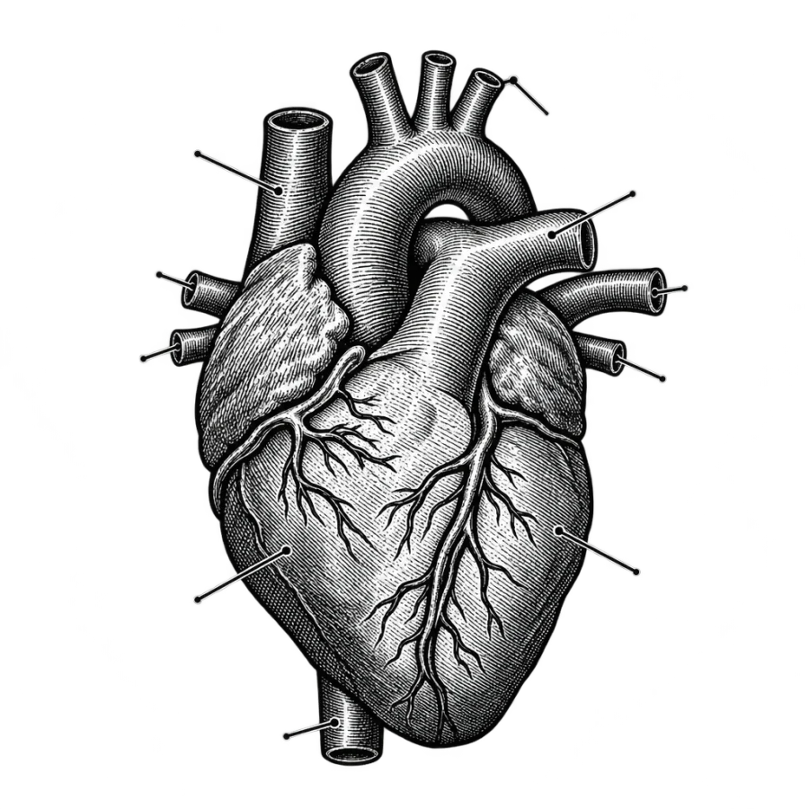 Heart tattoo design generated with AI Tattoo Lab