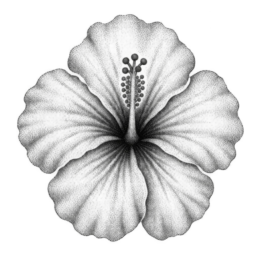 Dotwork hibiscus tattoo design seen from above with no outlines