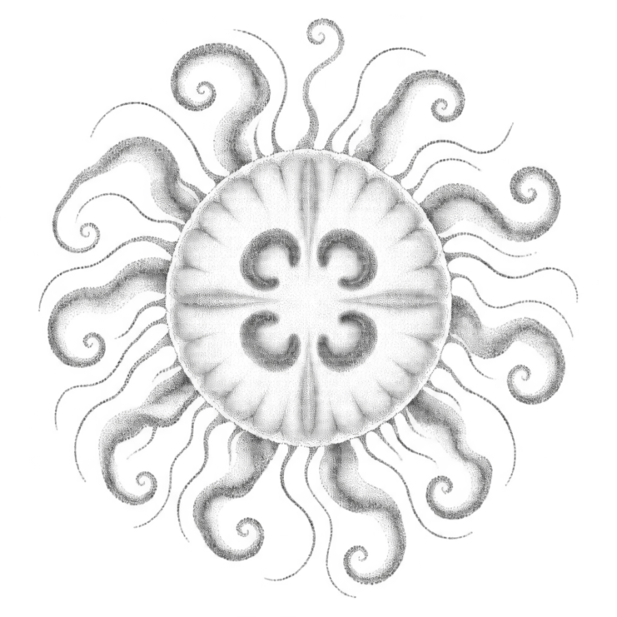 Dotwork jellyfish tattoo seen from below with radial canals showing