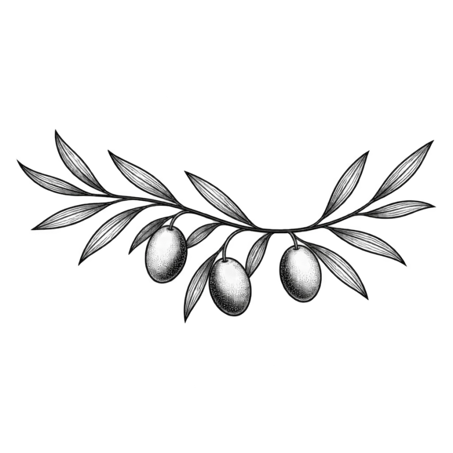 Fine line olive branch tattoo arcing with slender leaves and three olives