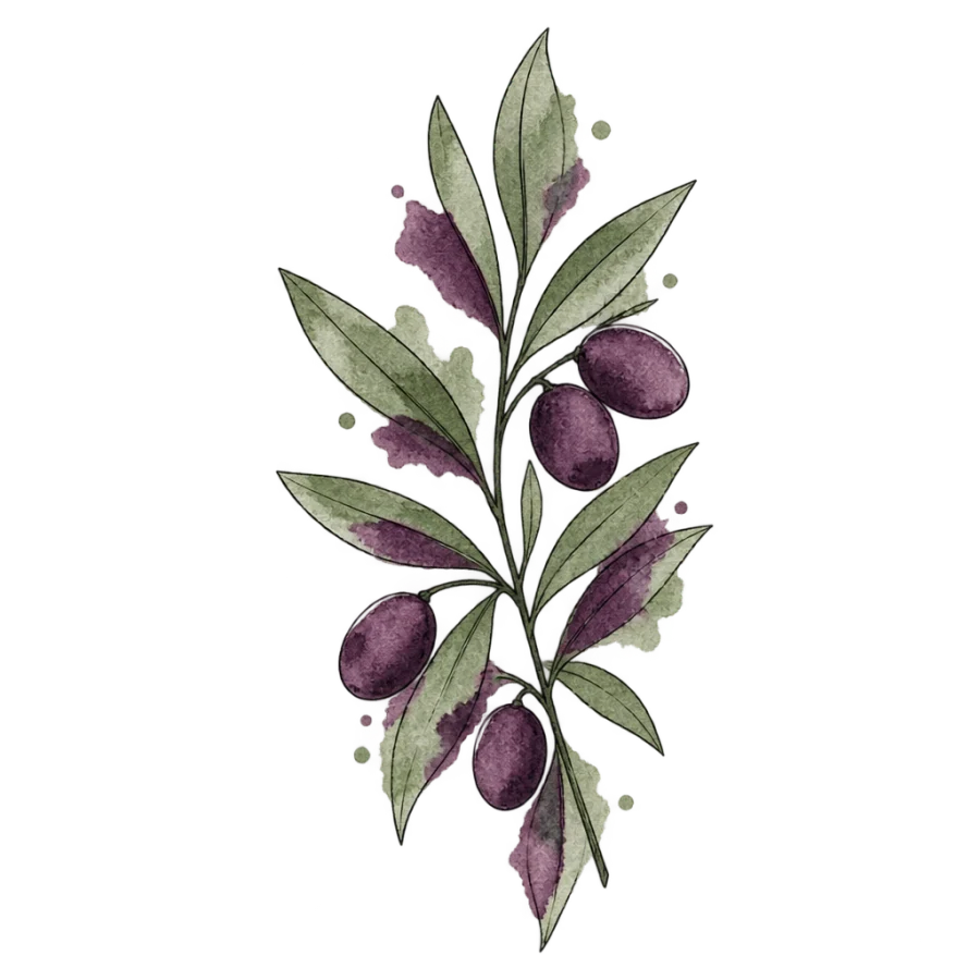 Watercolour olive sprig tattoo with sage green and plum washes over line