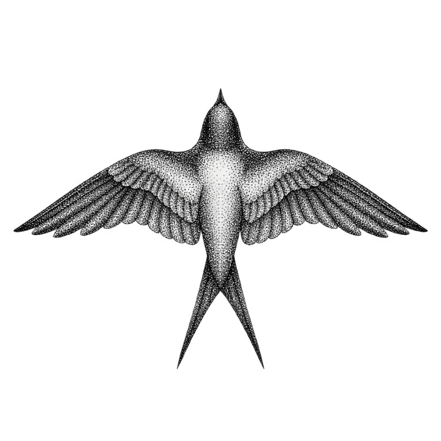 Dotwork swallow tattoo design seen from above with wings swept wide