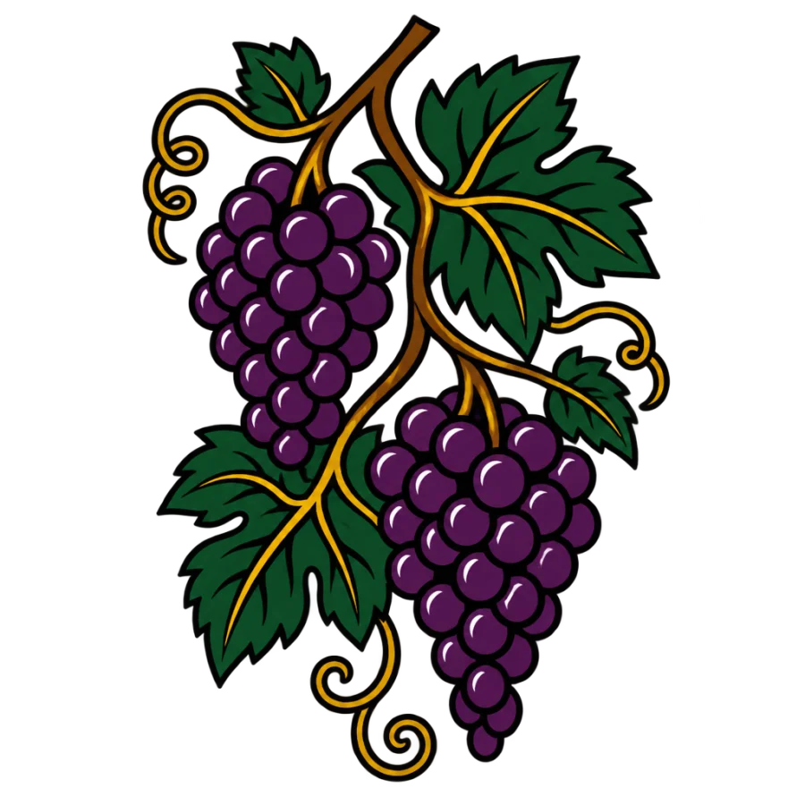 American traditional grapevine tattoo with bold outlines and flat color